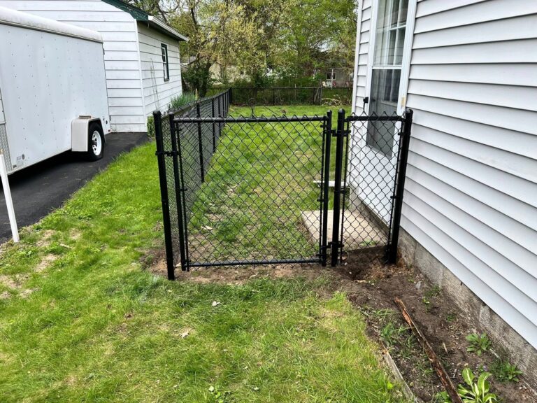 499240661 1272207204907336 76501 768x576