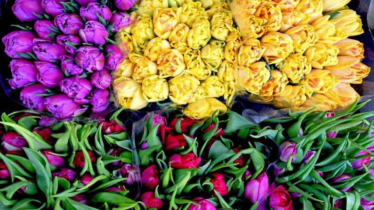 Wholesale Florist Albany NY 768x432