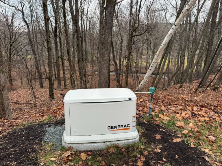 8dc247c4 14ea 4054 8f0e f395dbd7bb24 768x576