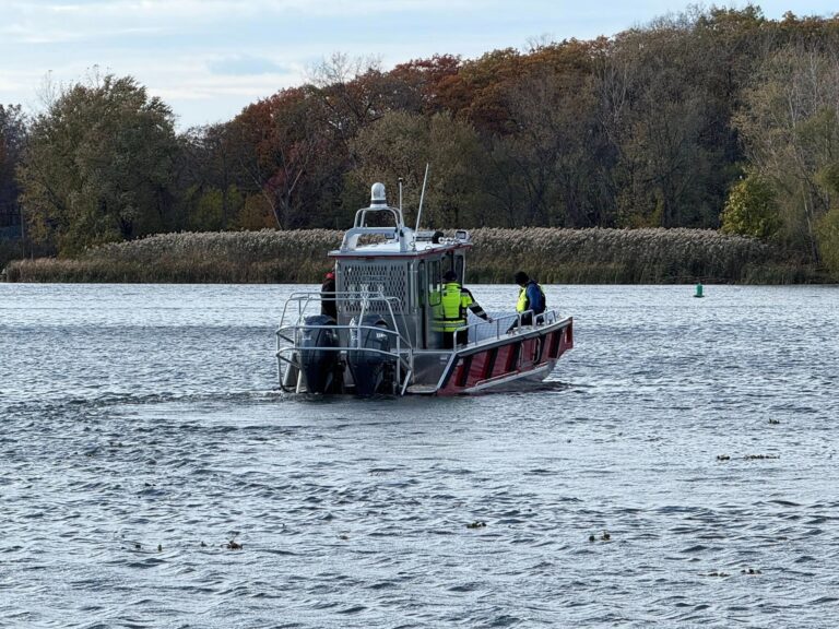 91d50a11 fcf1 4781 85fe 177e6e3afa17 768x576