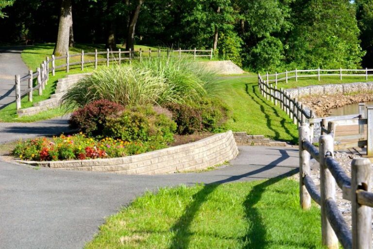 Colonie Cook Park 800x533 1 768x512