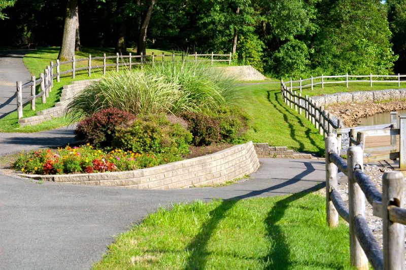 Colonie Cook Park 800x533 1