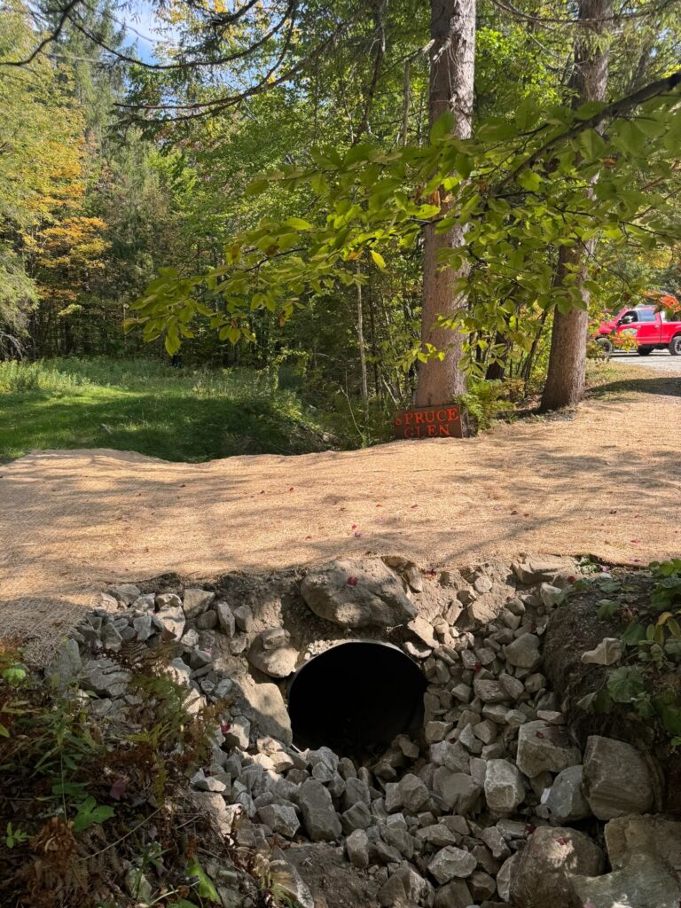 eb155f25 2699 4b59 b1e1 d2c74be8838f 768x1024